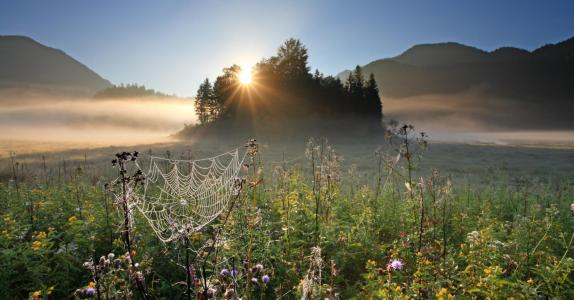 Der Tag erwacht am Weitsee