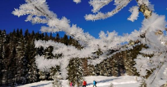 Hemmersuppen-Alm Schneeschuhwandern