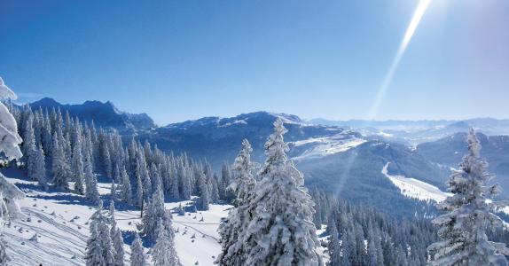 Winklmoos-Alm / Steinplatte